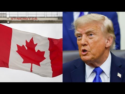 U.S. moves to ban Canadian motorcycles, dairy, most alcohol in latest trade war escalation