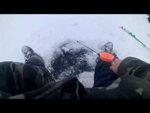 Окунь на балансир. Клев со льда