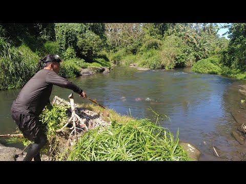 SE03EP006 Part 1- NAGKABIGLAAN sa ISANG PULUTONG na TILAPIA | San Pablo City, Laguna