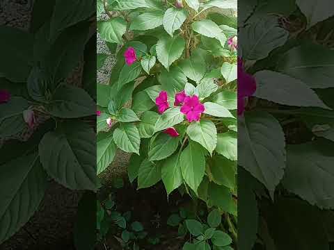 18 de agosto de 2024