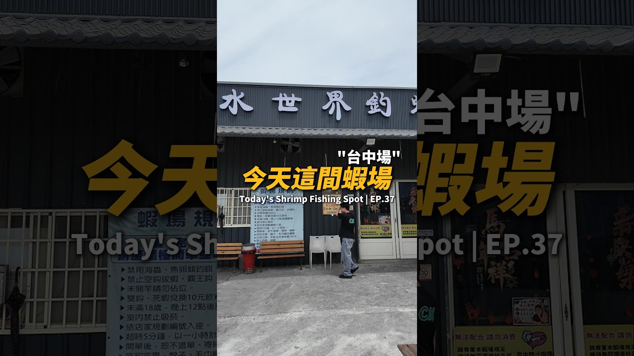 今天這間蝦場EP.37【MLS蝦戰天下】#17shrimp #台湾のエビ釣り #shrimpfishing #새우낚시