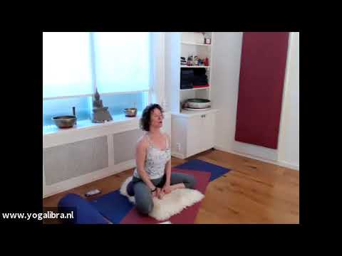 Kundalini yoga: 'Pranic body for vitality" en de meditatie Har Hare Hari