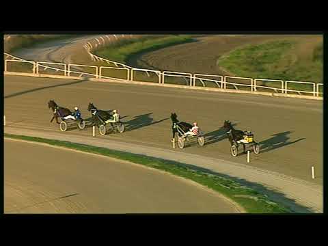 Trotto 08/11/2020 - 1ª prova di qualifica