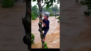 Download lagu Suasana terjebak dipohon saat banjir bandang berlumpur#s mp3 Download lagu Suasana terjebak dipohon saat banjir bandang berlumpur#s mp3