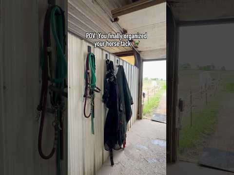 Video: Gator Magnetics Barn Tack Wall Storage Ideas with Heavy Duty Magnetic Hooks video thumbnail