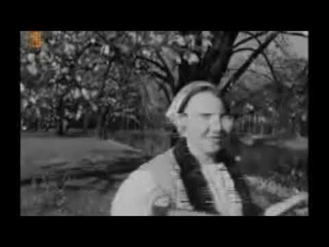 Videoclip de Ivan, Boris et moi — Najoua Belyzel