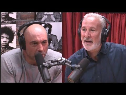 Joe Rogan & Peter Schiff on Minimum Wage