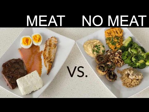 Top 5 sources of plant-based proteinȘ What you can eat instead of meat