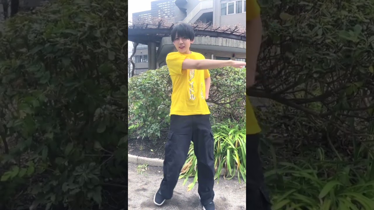 童貞パラパラ（りくまろver）#shorts