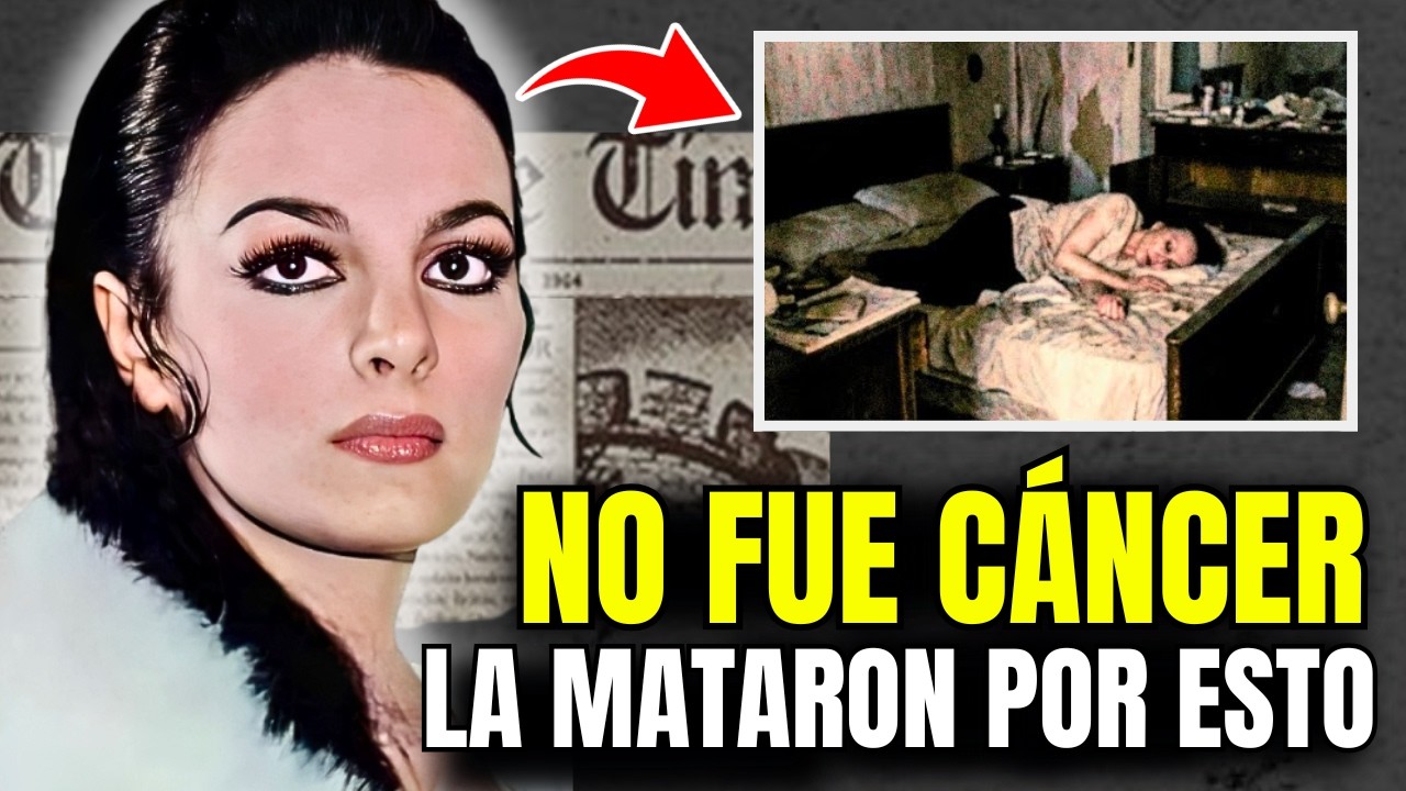 YouTube Thumbnail Downloader FULL HQ IMAGE