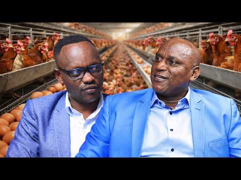 YARETSE AKAZI KARYOSHYE MU BUFARANSA NONE YOROYE INKOKO 130,000//MUSABYIMANA J.BAPTISTE