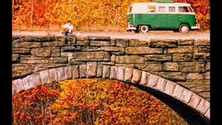 Angry Johnny And The Killbillies-Middlefield Train Track Blues