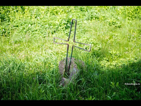 Ce ne puteți spune despre Viața de Apoi?