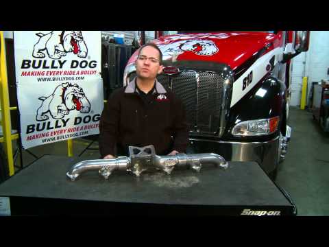 Bullydog manifold overview