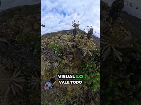 Lo verdaderos guardianes de nuestras fuentes hídricas #paramo #naturaleza #socha #boyacá #colombia