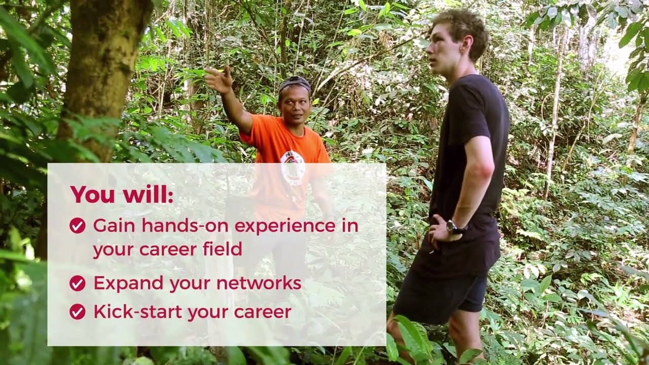 Environmental Internship Program