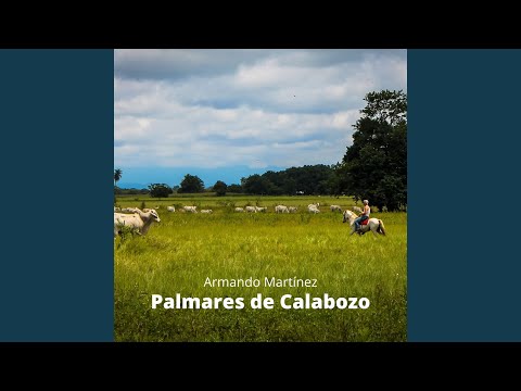 Palmares de Calabozo