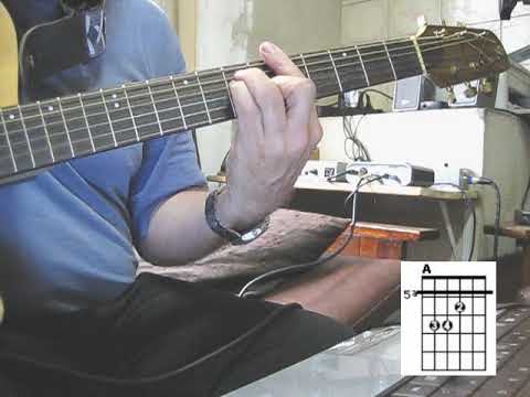 Gato De Estimação - Kátia
