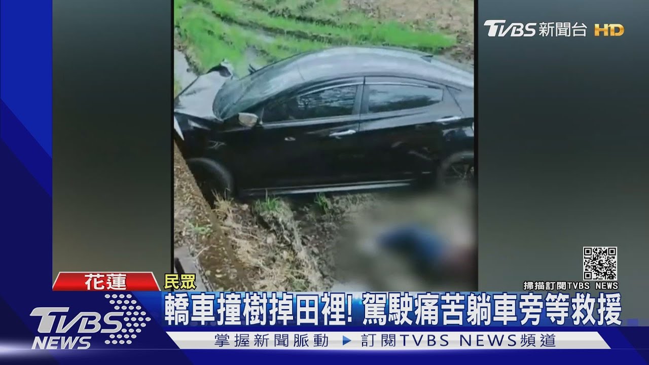 轎車撞樹掉田裡! 駕駛痛苦躺車旁等救援