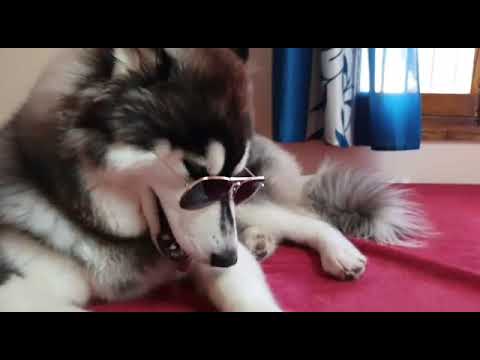 Expression Queen 🥰