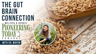 EP: 415 The Gut-Brain Connection w/ Dr. Mayer