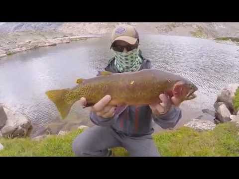 FLY Fishing the HIGH Country 