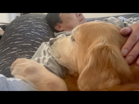 出番が減って落ち込む大型犬と、不祥事が噂されるプロデューサー父。