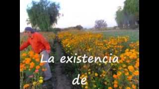 preview picture of video 'Escuela Adán Quiroga - Las Tapias Albardón. San Juan Argentina.'