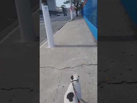 Vídeo de Branco