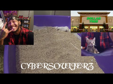 YouTube video about: Does dollar tree sell cat litter?