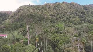 preview picture of video 'Amazing view at Wang Kelian, Perlis.'