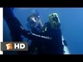 Open Water (7/11) Movie CLIP - Just a Little Cut ...