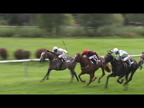 KV, 23. 8. 2020 - 2. dostih - Cena EBF (III, 1600 m, dvouletí)