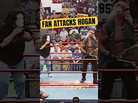 Fan In Sting Mask Attacks Hulk Hogan 🦂