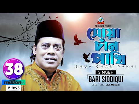 Shua Chan Pakhi | Bari Siddiqui | সোয়া চাঁন পাখি | বারী সিদ্দিকী | Music Video