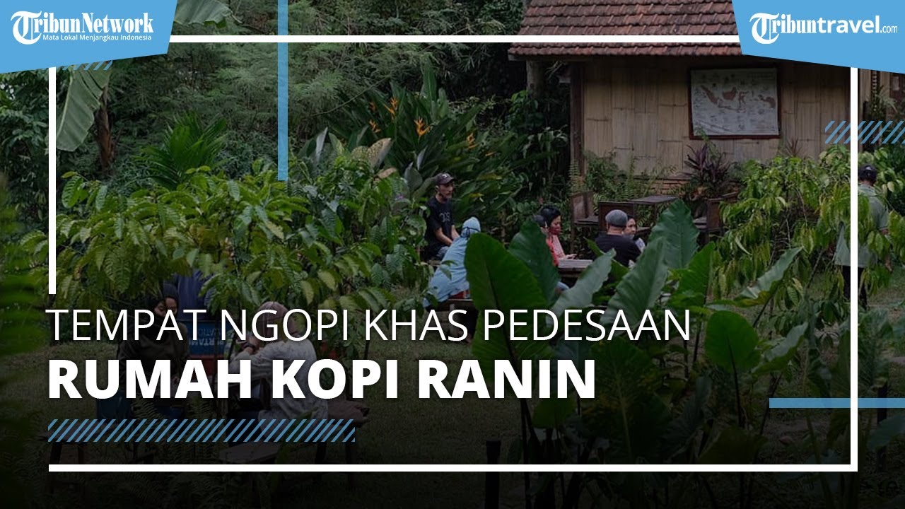 Ini Tempat Ngopi yang Syahdu, Rumah Kopi Ranin Bogor, Tawarkan Suasana ...