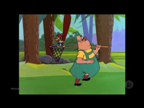 Pica-Pau - Festival de cucos (1956) HD