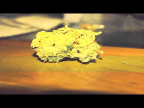 OA FT ENZO - VAN DAMN