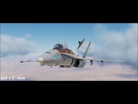 DCS 2.5: Akula