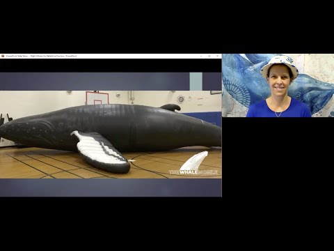 Right Whale Reflective Practice