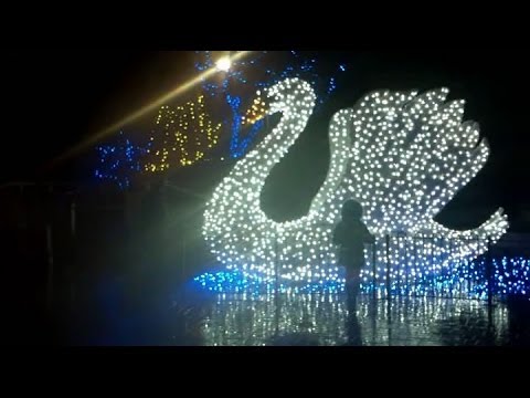 Christmas Lights 2013