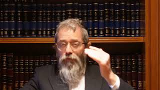 נחמו נחמו א צווייענדיקע נחמה פרשת ואתחנן שבת נחמו, הרב פרקש שנת תשפ"ד