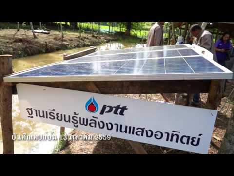 ที่ปลิงเพื่อเพิ่มความแข็งแรง สมาชิกโดยไม่ต้องรบกวนเพิ่มขึ้น