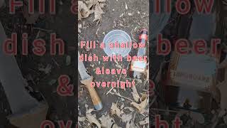 Roly-poly BUG Elimination METHOD that really WORKS!!! #gardenhack