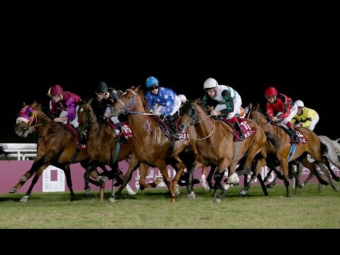 24th Race Meeting of Season 2016 / 2017