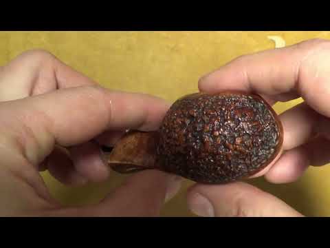 Pipa Viprati rusticata - Freeform - VI210