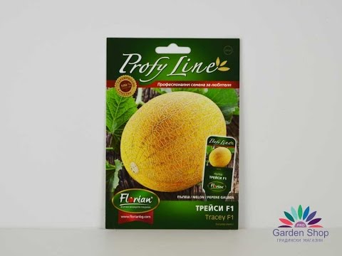 Quality seed melon Galliano - variety Tracy F1