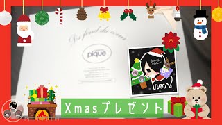 【着画有り】クリスマスプレゼント届きました♪【開封動画】