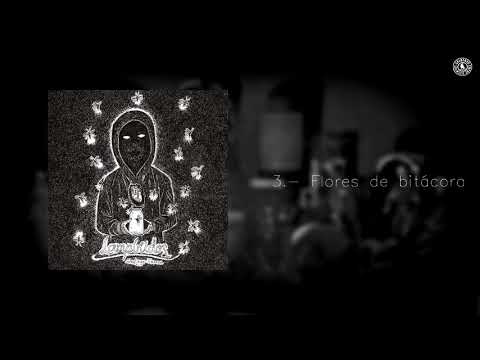 03. Flores de bitácora - Santiago Insane (Lampíridos) con letra