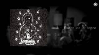03. Flores de bitácora - Santiago Insane (Lampíridos) con letra